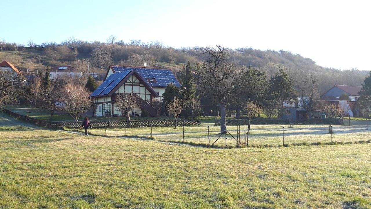 Ferienwohnung Zur Saaleaue Wettin Extérieur photo