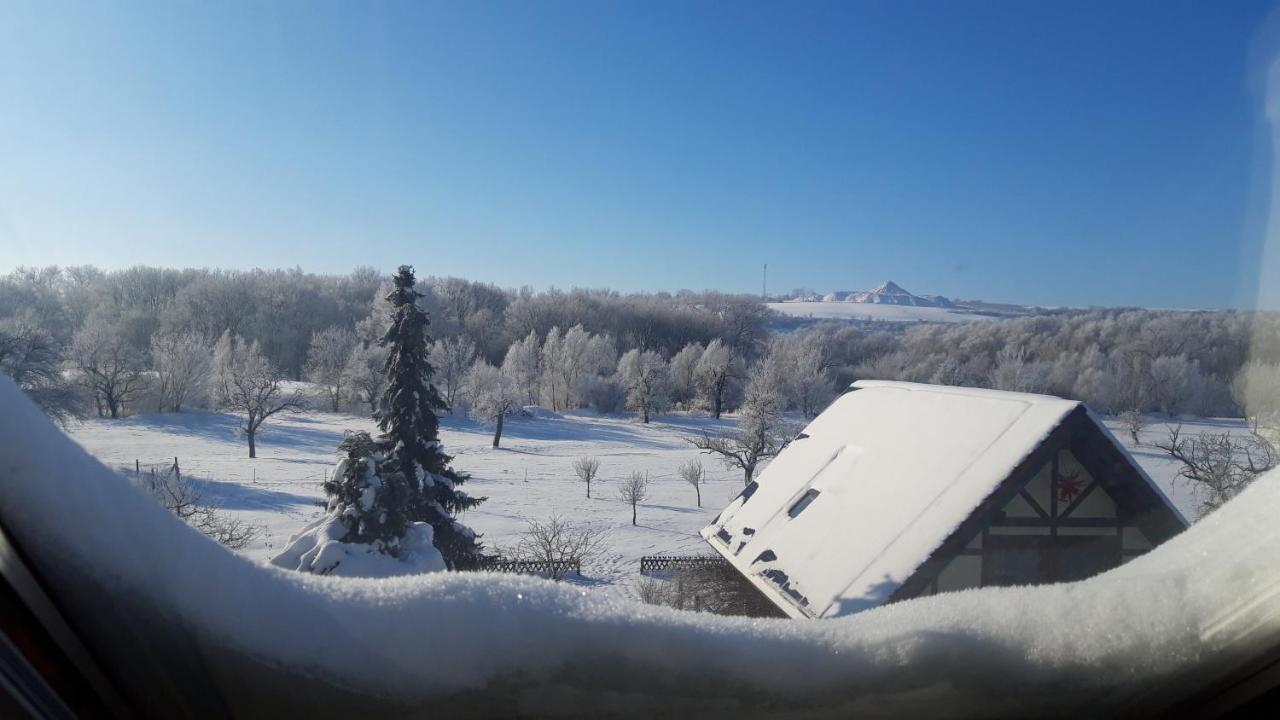 Ferienwohnung Zur Saaleaue Wettin Extérieur photo