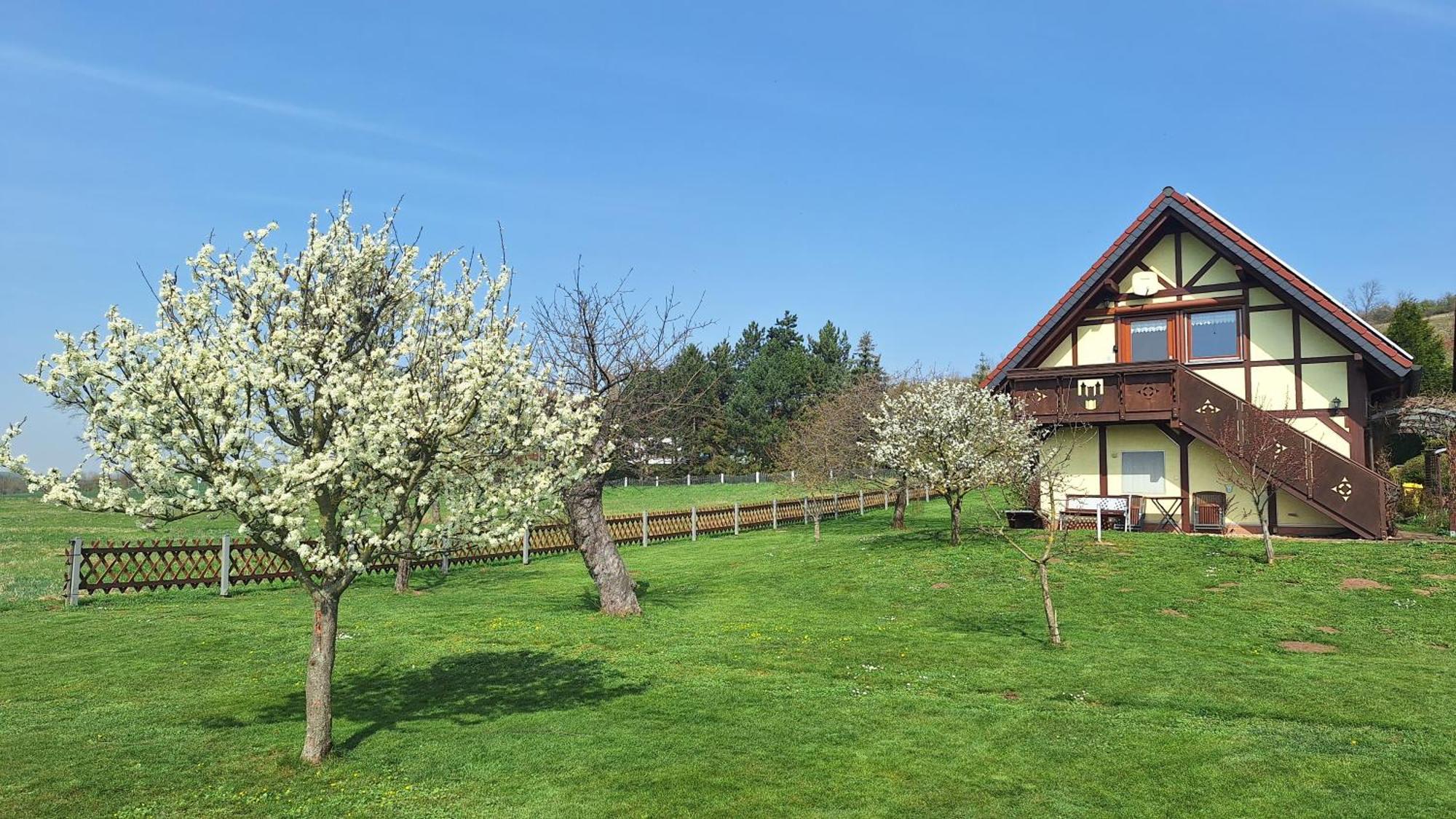 Ferienwohnung Zur Saaleaue Wettin Extérieur photo